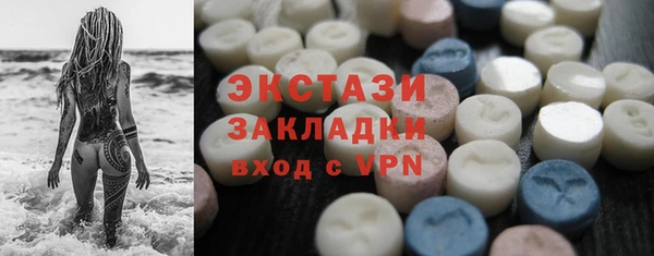 СК Ельня