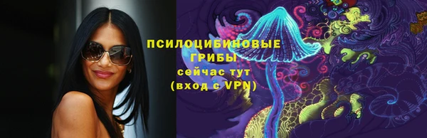 СК Ельня