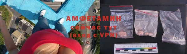 СК Ельня