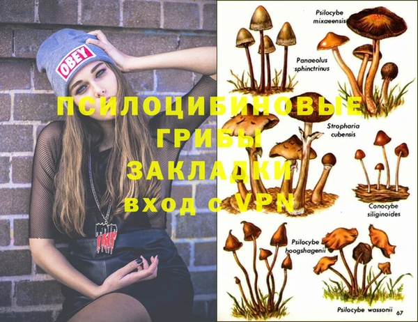 мдма Елизово