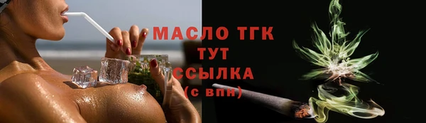 СК Ельня