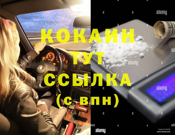 СК Ельня