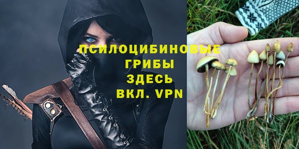 СК Ельня