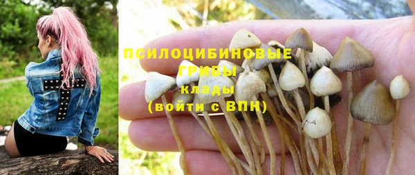 СК Ельня