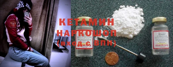 СК Ельня