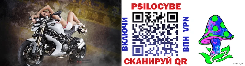 Купить где  Трубчевск  Псилоцибиновые грибы Cubensis 